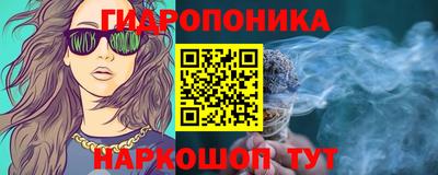 spice Дубна